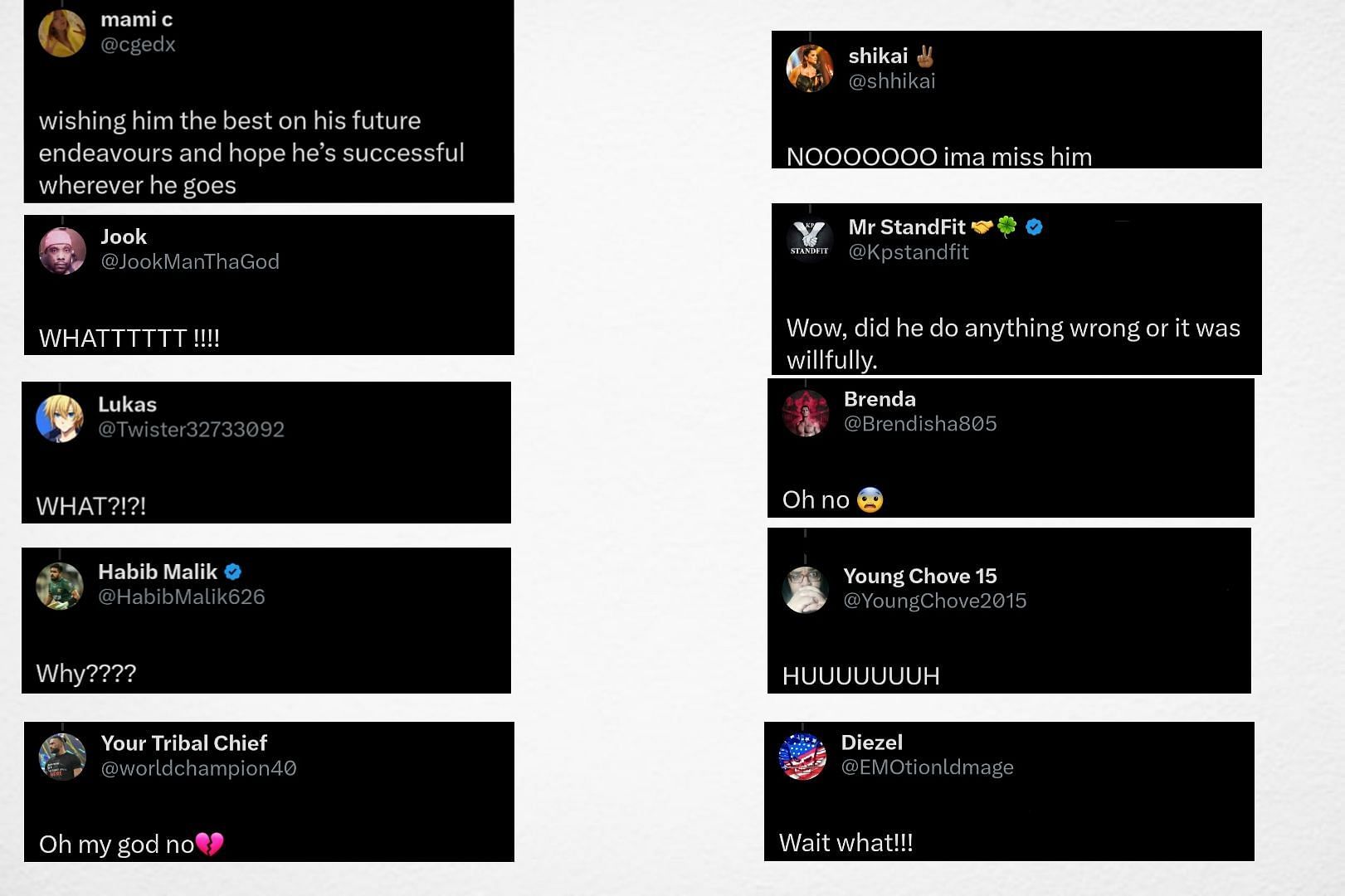 Reactions to Matt Camp's release!